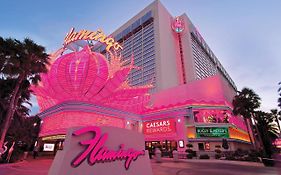 Flamingo & Casino 3*